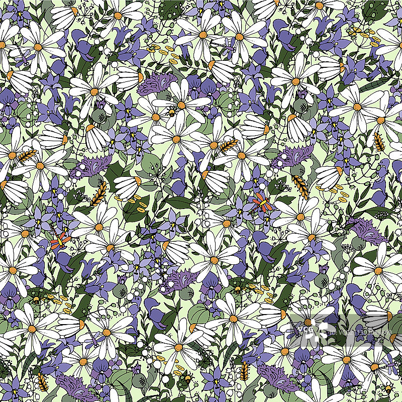 野花雏菊风铃草乌头图片素材