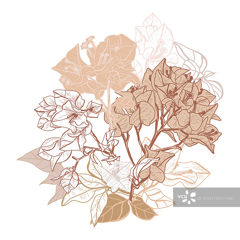 手绘花卉装饰图片素材