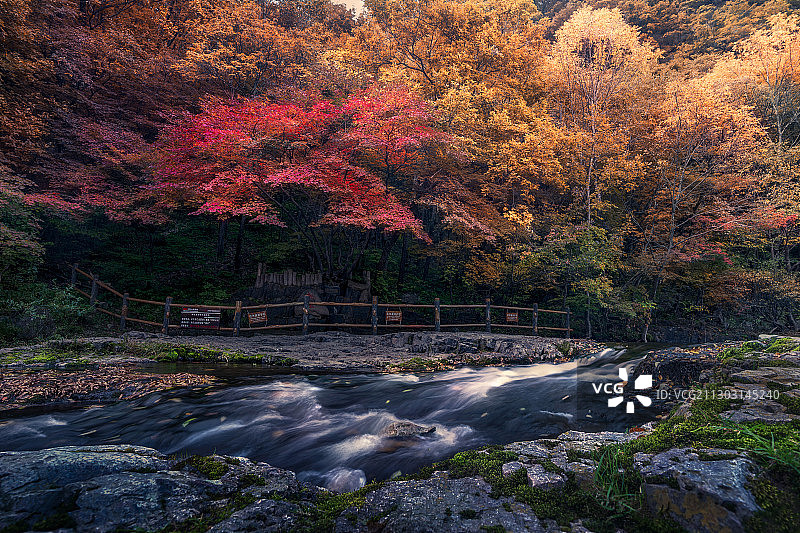 辽宁本溪 关门山的秋色图片素材