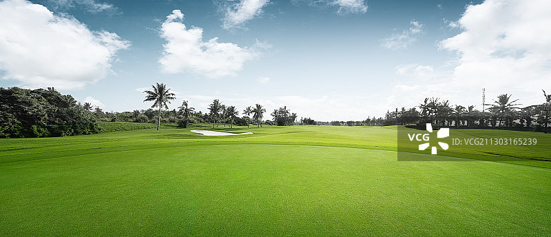 高尔夫球场图片素材