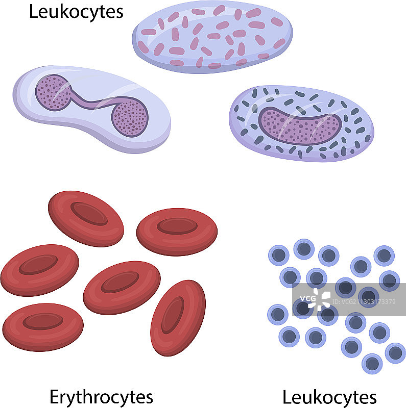 血液组合图片素材