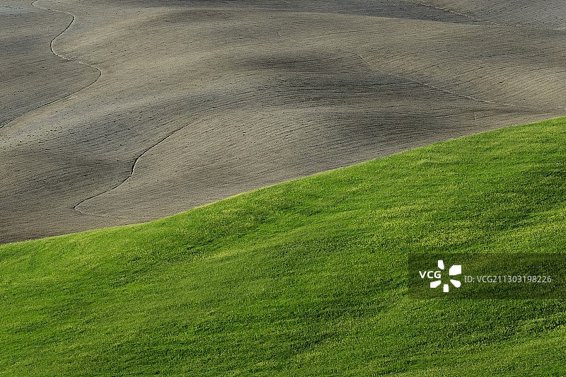 意大利托斯卡纳绿色景观的高角度视图图片素材