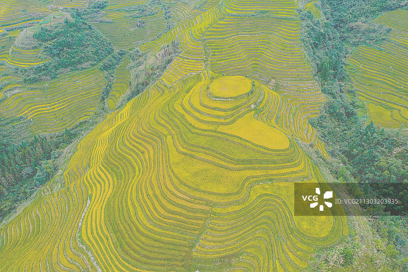 航拍桂林龙胜龙脊梯田图片素材