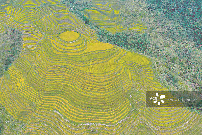 航拍桂林龙胜龙脊梯田图片素材