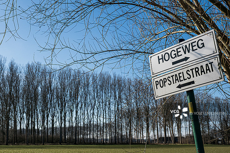 仰视角度拍摄的指示牌，背景是光秃秃的树木，比利时莱邦维莱尔图片素材