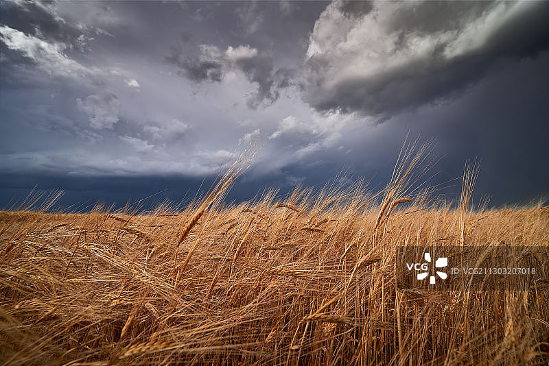 田野对天空的风景图片素材