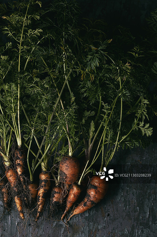 俯视角度拍摄的桌子上的胡萝卜图片素材