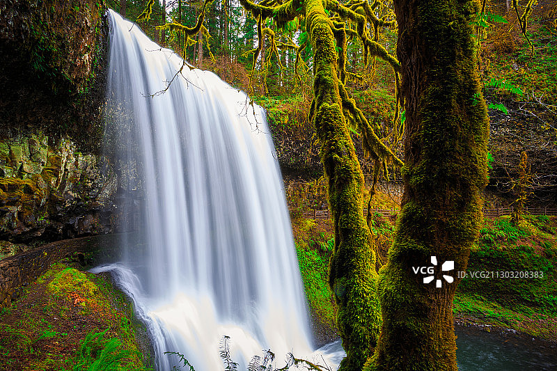 美国银瀑州立公园森林瀑布风景图片素材