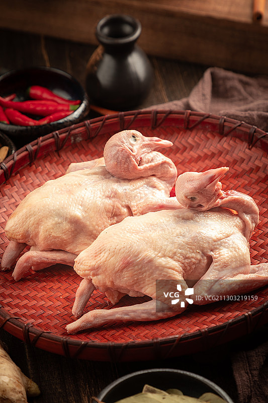 鸽子肉图片素材