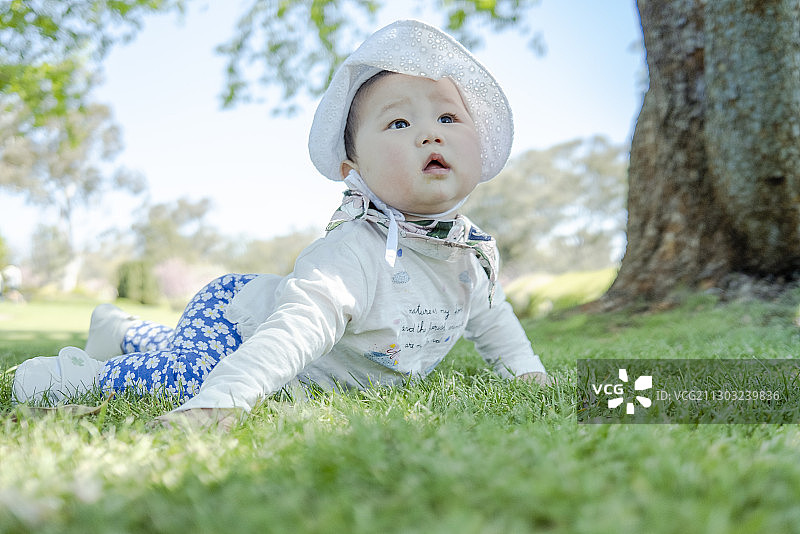 趴在草坪上玩乐的女婴图片素材