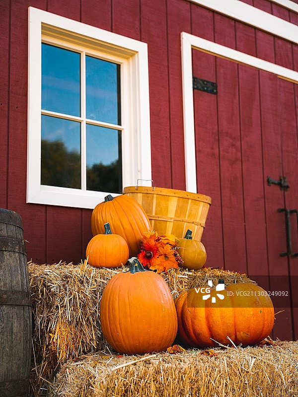 field,Moorpark,California,United States,USA图片素材