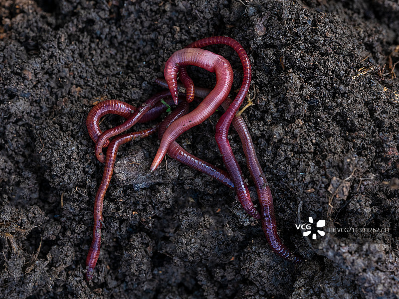 地面上生锈金属的高角度视图图片素材