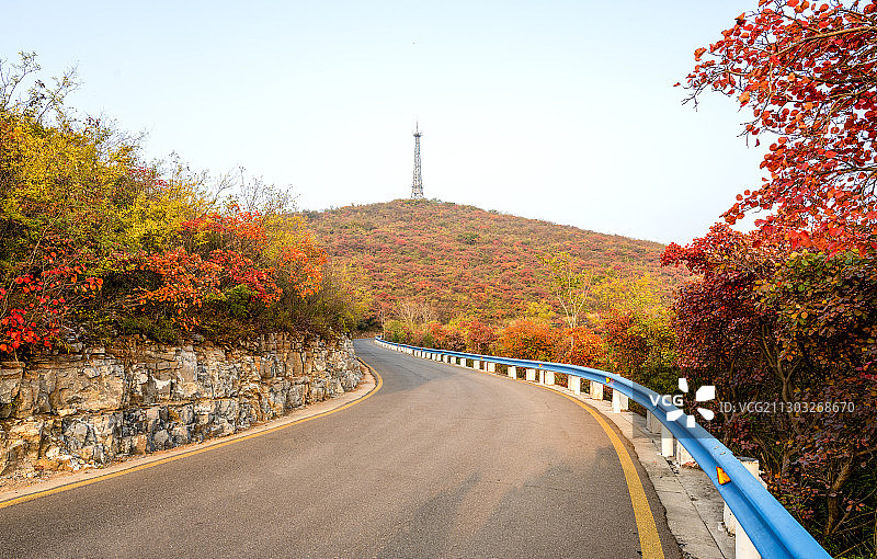 秋天层林尽染的山间一条公路图片素材