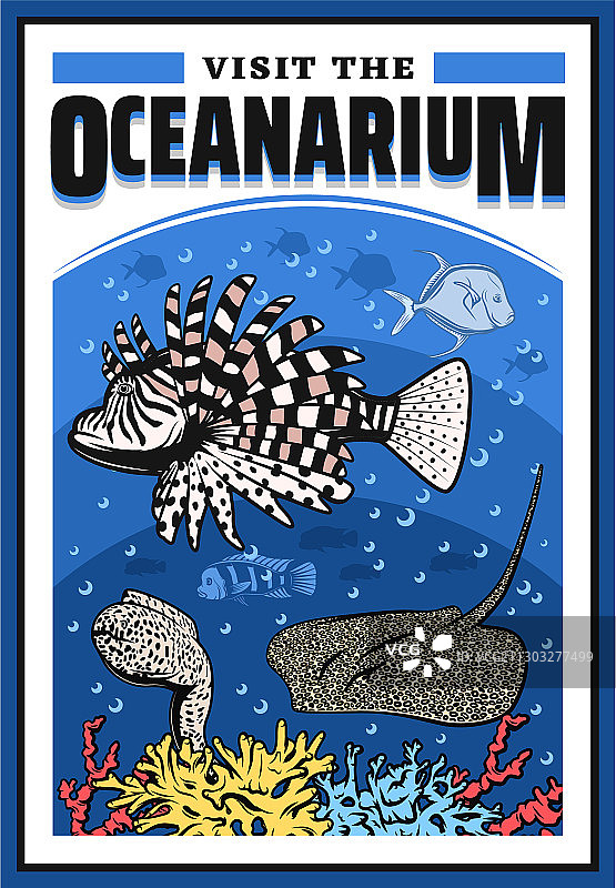 海洋馆：狮子鱼、海鳗、黄貂鱼图片素材