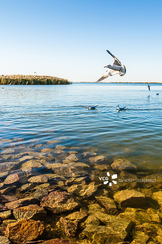 居延海图片素材