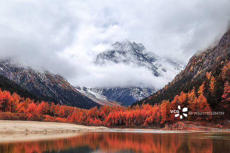 四川川西阿坝理县毕棚沟红叶图片素材