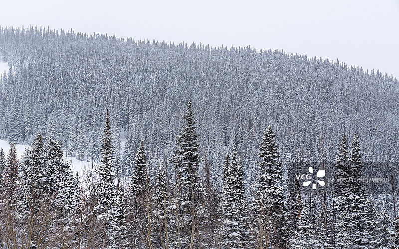 美国科罗拉多州斯诺马斯雪景风光图片素材