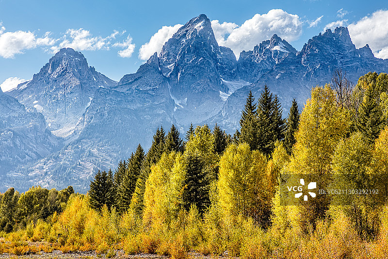 冬季施瓦巴克登陆路松树风景，美国图片素材