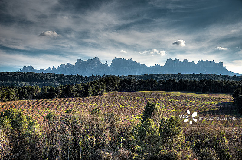 西班牙巴塞罗那曼雷萨市的田野风光图片素材