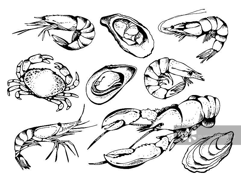素描风格的海鲜美食合集图片素材