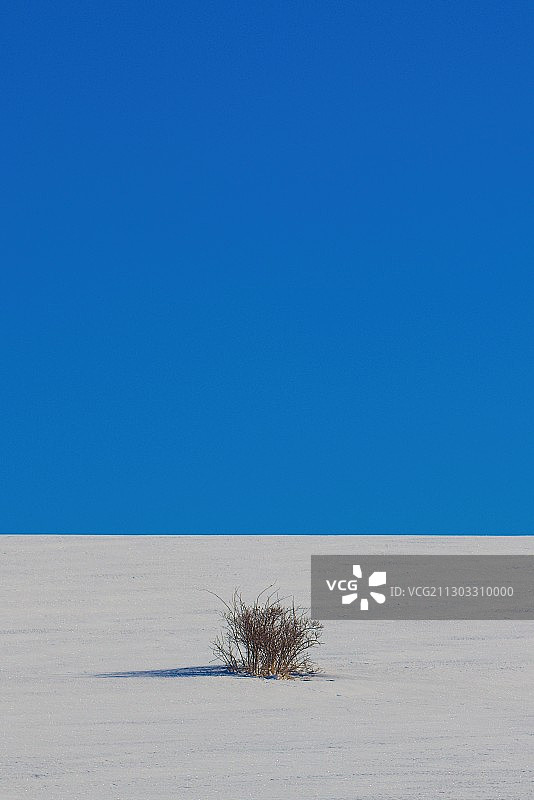 波兰的田野风光，晴朗蓝天图片素材