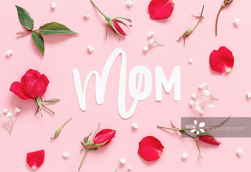 粉色背景上心形玫瑰花和文字的俯视图图片素材
