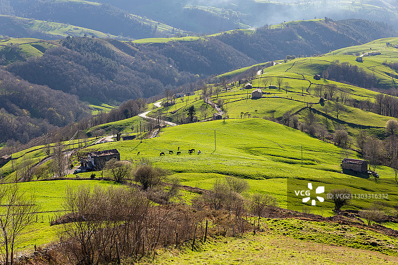 西班牙坎塔布里亚塞拉亚田野风光图片素材