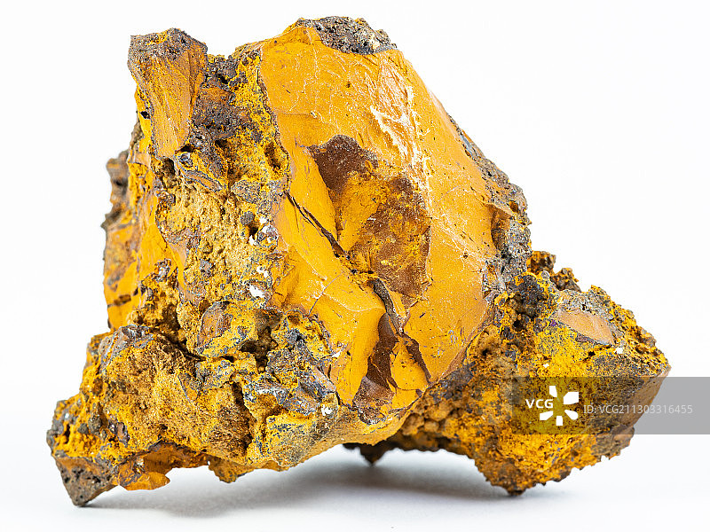 白色背景上的黄色叶子特写图片素材