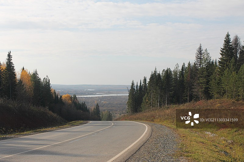 空无一人的道路，树木与天空相映成辉图片素材