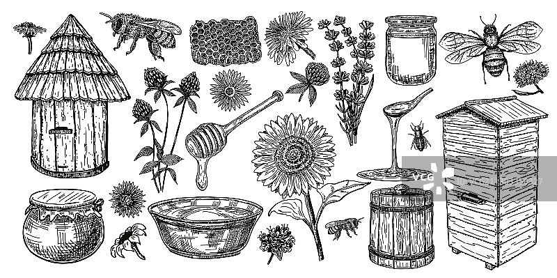 养蜂素描图标蜂蜜复古套装图片素材