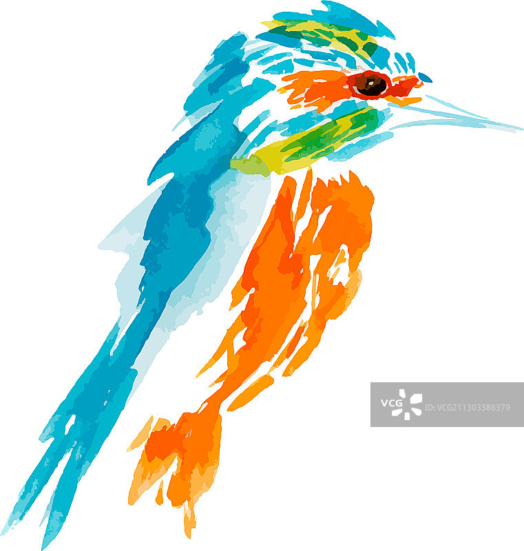 孤立的飞鸟图片素材