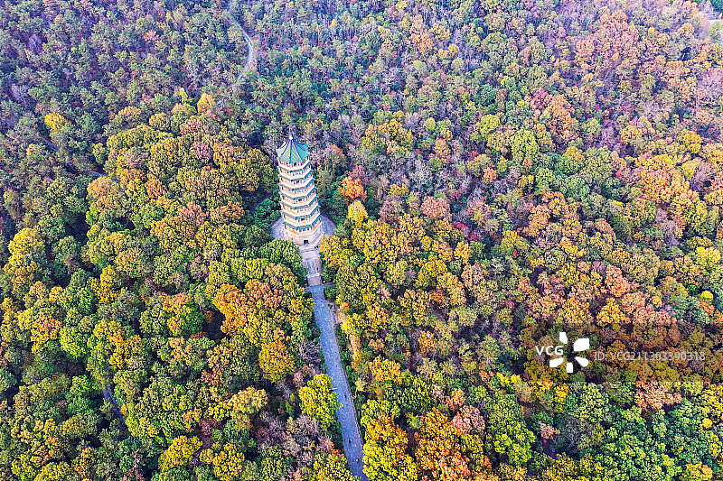 南京灵谷景区内灵谷塔的秋韵图片素材