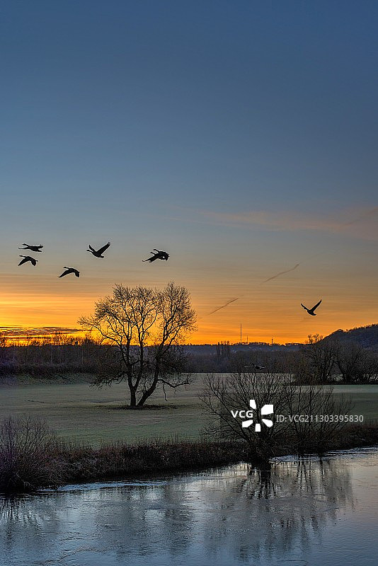 德国埃森湿地风光图片素材