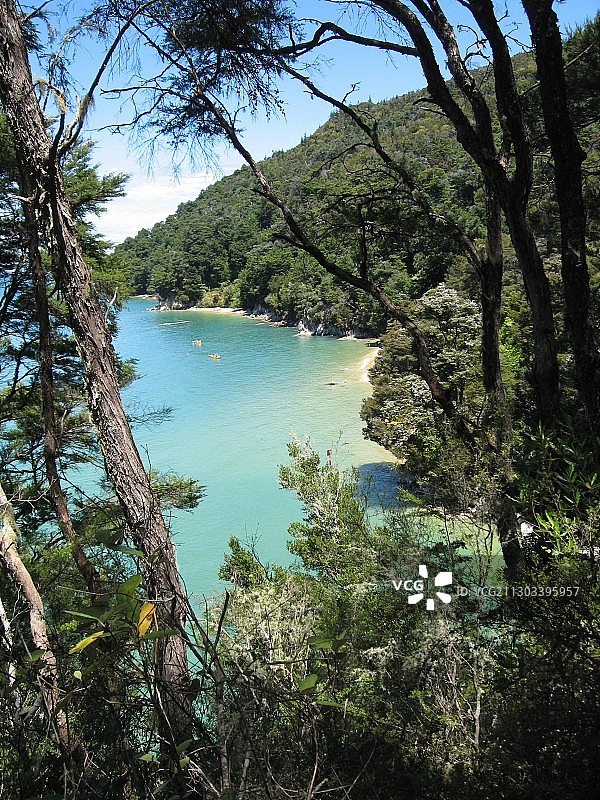 新西兰亚伯塔斯曼国家公园森林湖泊美景图片素材