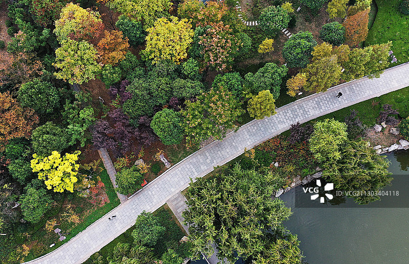 山东枣庄凤鸣湖公园图片素材