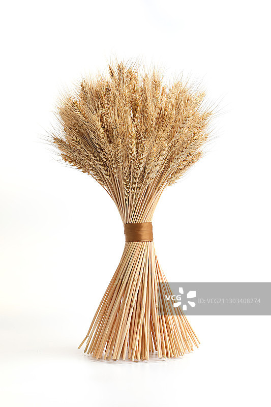 一捆麦穗图片素材