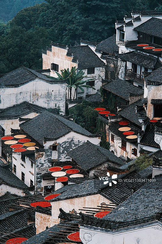 国庆长假自驾江西婺源最美乡村看晒秋图片素材