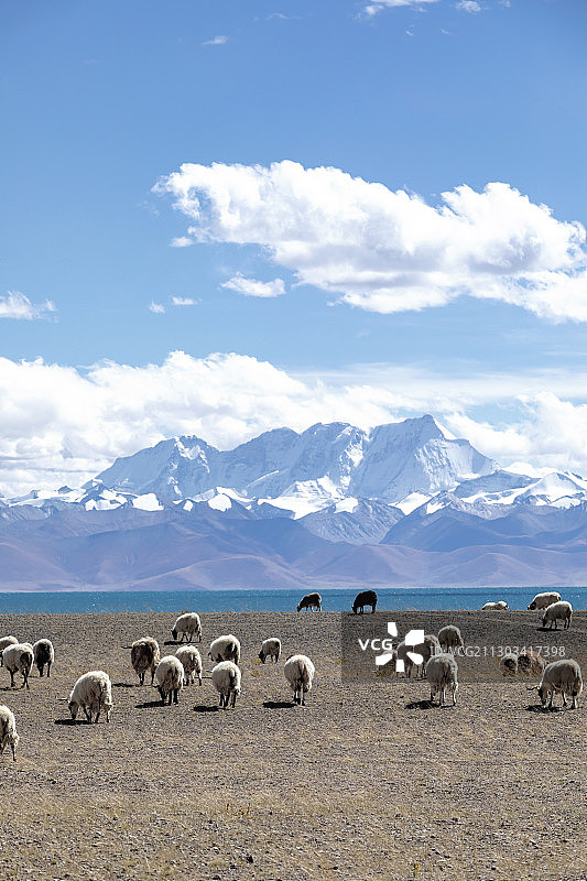 纳木错图片素材