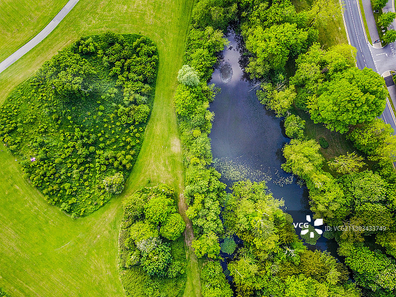 爱尔兰都柏林郡湖边的树木俯视图图片素材