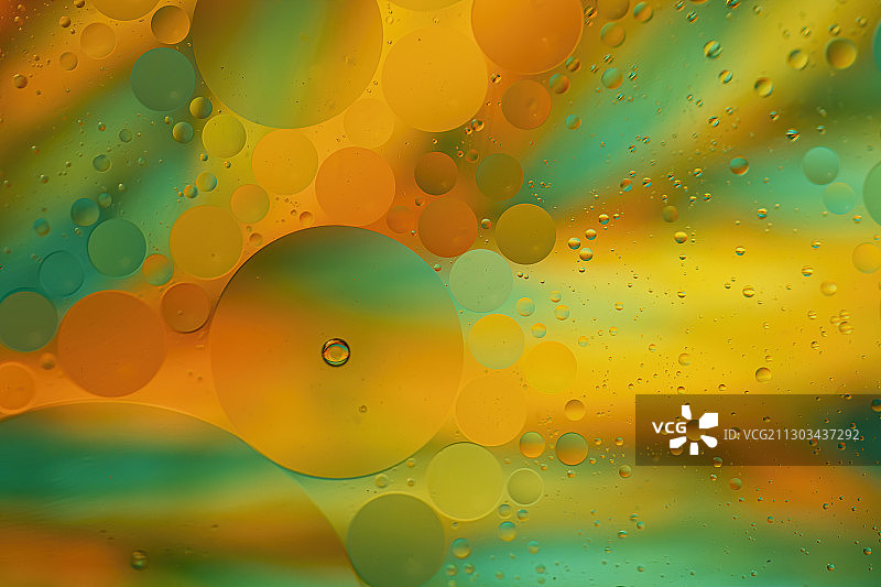 鱼缸里的宇宙，荷兰图片素材