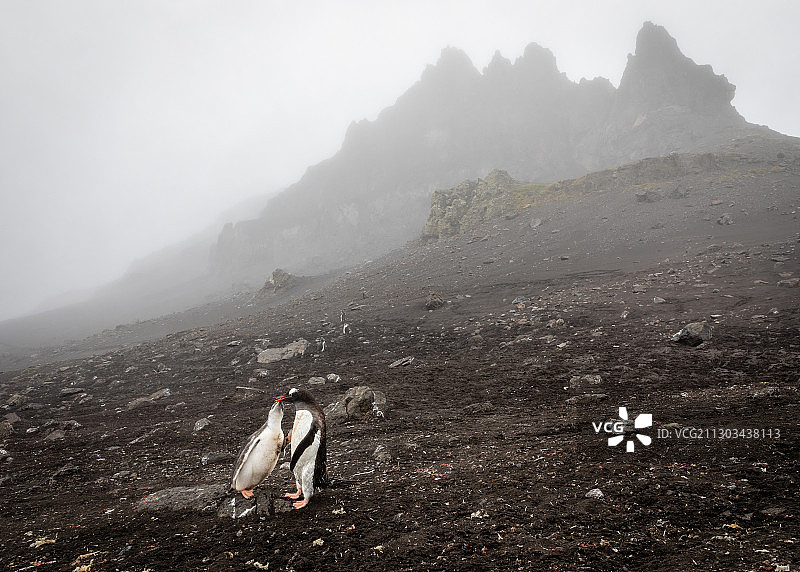 雾天南极洲山上的男子背影图片素材