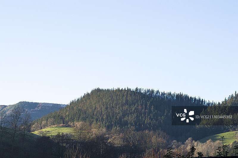 西班牙吉普斯夸省阿兹佩蒂亚的森林风光图片素材