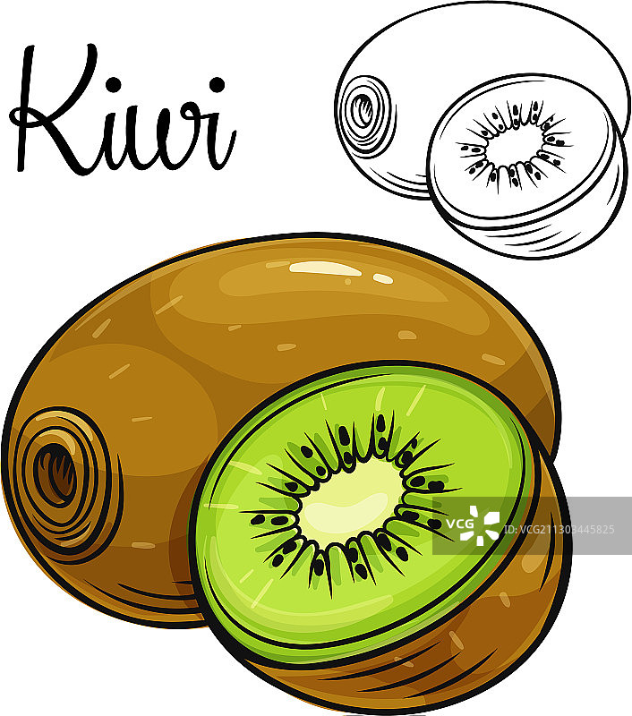 猕猴桃简笔画图标图片素材