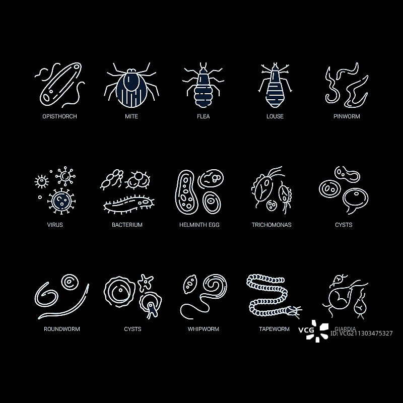 人体寄生虫线性图标集图片素材