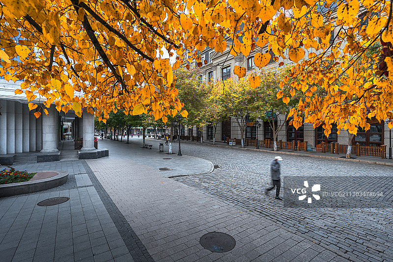 老街秋色图片素材