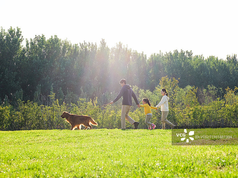 快乐的三口之家和宠物狗在公园散步图片素材