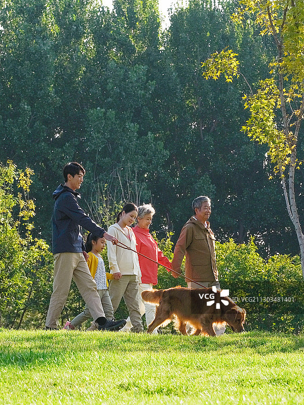 快乐的五口之家和宠物狗在公园散步图片素材