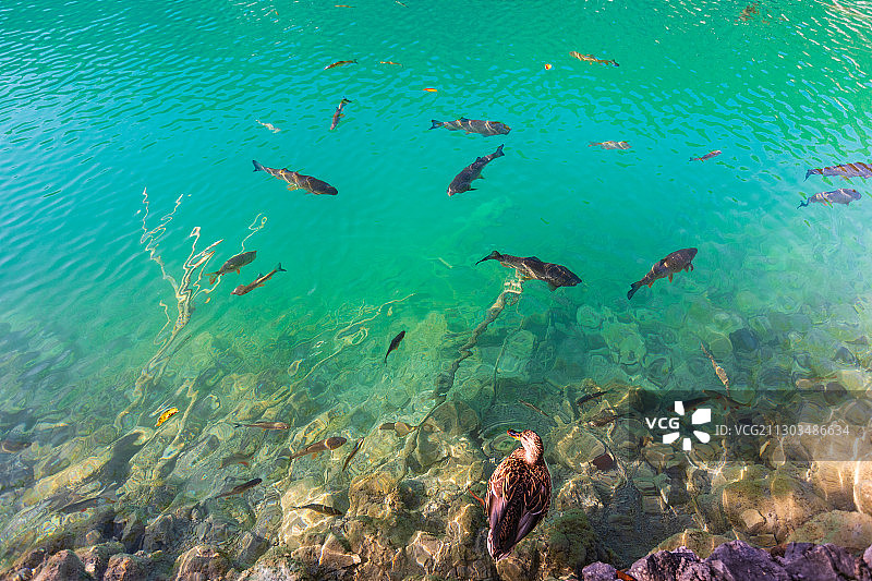 东欧克罗地亚十六湖国家公园图片素材