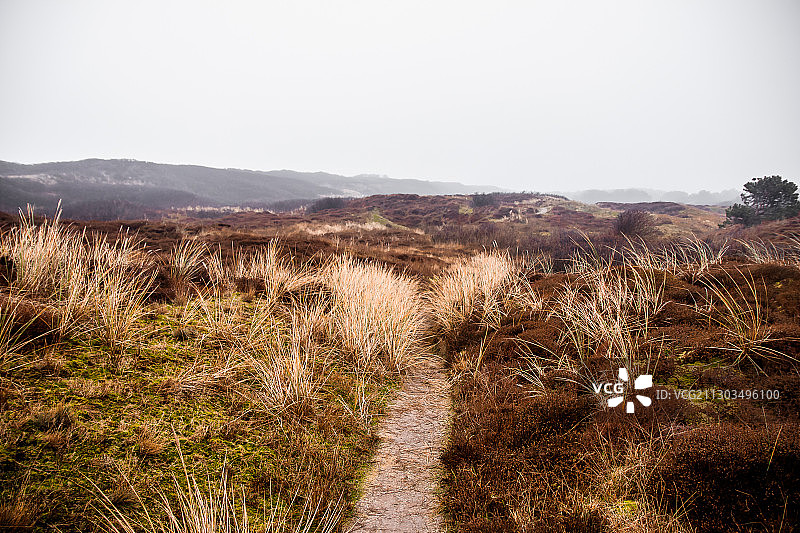 德国旺格罗格晴空田野风光图片素材