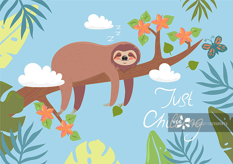 树枝上睡觉的树懒明信片图片素材